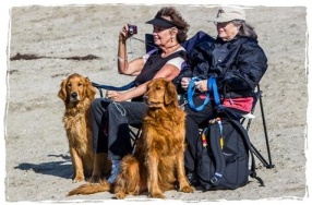Two women and two dogs at the beach