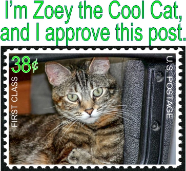 I'm Zoey the Cool Cat, and I approve this post.