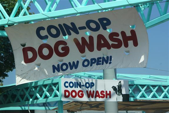 Coin-Op Dog Wash