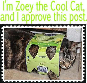 I'm Zoey the Cool Cat, and I approve this post