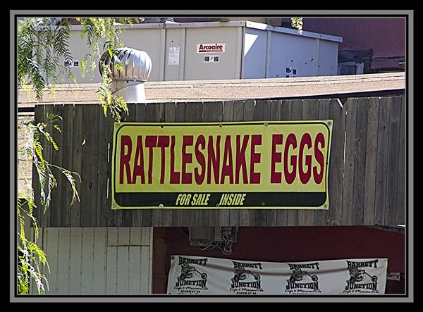 Rattlesnake eggs for sale inside