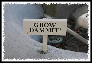 Grow dammit!