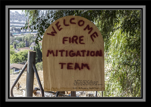 Fire Mitigation Team