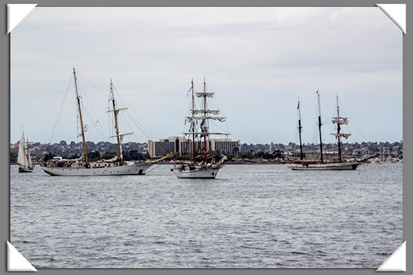 Tall ships in San Diego for the Festival of Sail