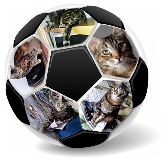 Zoey the Cool Cat soccer ball