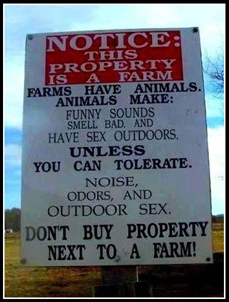 This is a farm!