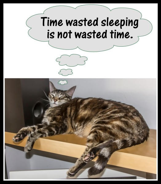 Time wasted sleeping is not wasted time