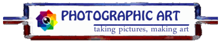 Photograhic Art--taking pictures, making art transparent