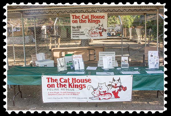Cat House on the Kings