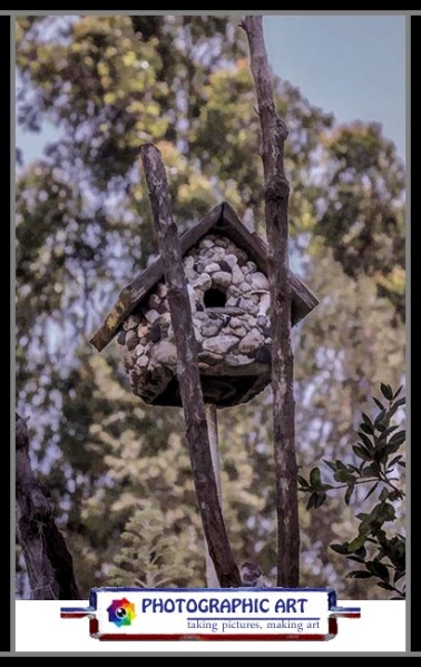 Bird Song birdhouse