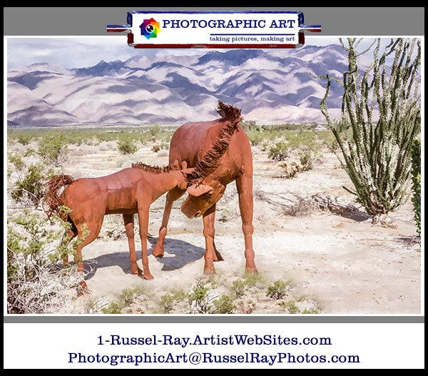 Wild horse and foal