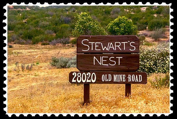img_2041 stewart's nest boondocks stamp
