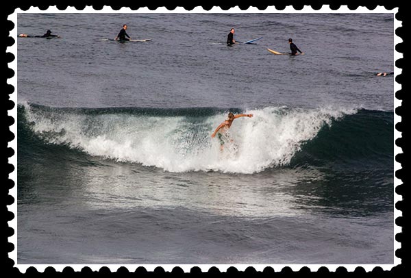 img_3054 surfer windansea la jolla