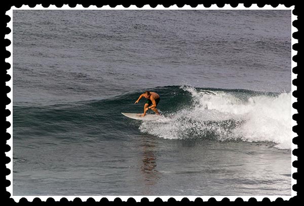 img_3059 surfer windansea la jolla