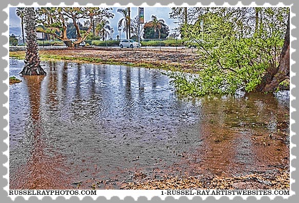 img_0209 ocean beach rain stamp