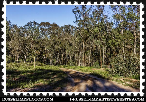 img_0280 san diego county park trail stamp
