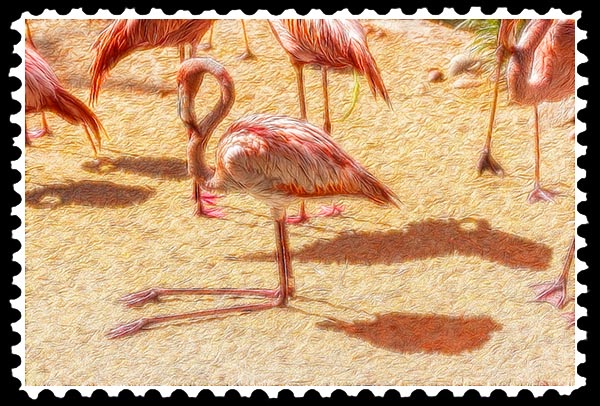 img_2200 flamingo zoo stamp