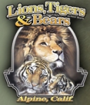 Lions Tigers & Bears