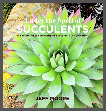 Under the Spell of Succulents by Jeff Moore