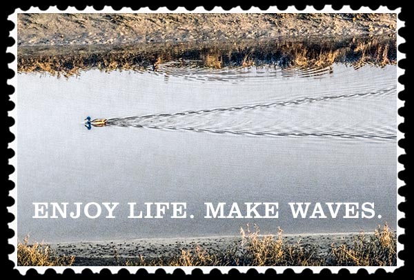 img_0366 enjoy life make saves stamp