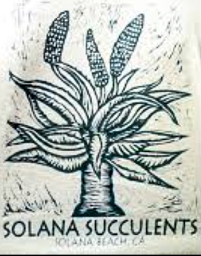 Solana Succulents in Solana Beach, California