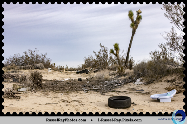 Trash in Mojave Desert