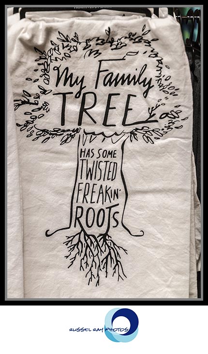 Family tree roots at The Warm Hearth in Julian, California
