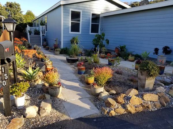Landscaping on 02232017
