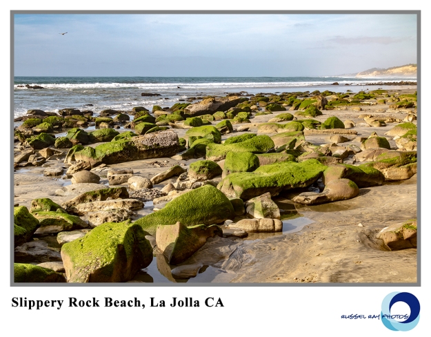 Slippery rock beach north of La Jolla CA