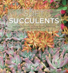 Soft Succulents, by Jeff Moore