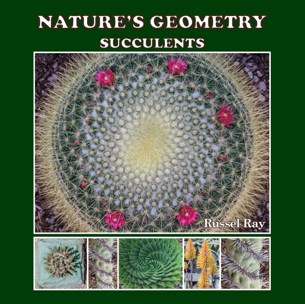 Nature's Geometry: Succulents, by Russel Ray