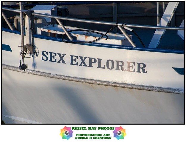 Sex Explorer